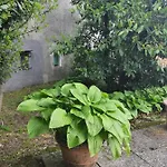 Tatil Evi Zeus Mountain *
